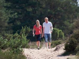 Wandelvakantie over de Geopark De Hondsrug Drenthe - Fietswandelvakantie.nl