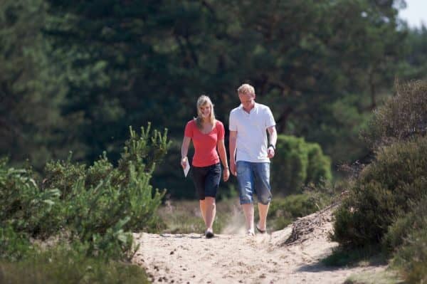 Wandelvakantie over de Geopark De Hondsrug Drenthe - Fietswandelvakantie.nl