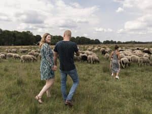 Wandelvakantie - wandelen over de mooiste paden