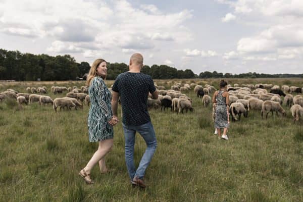 Wandelvakantie - wandelen over de mooiste paden