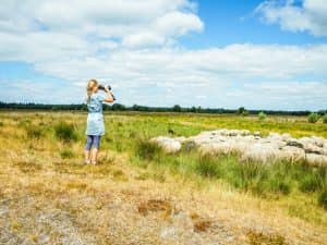 Schaapskudde Exloo - Fietswandelvakantie.nl