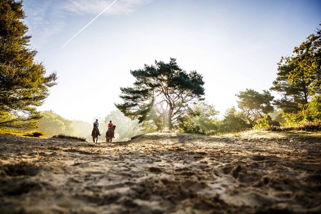 Aekingerzand (Kaleduien) - Fietswandelvakantie.nl