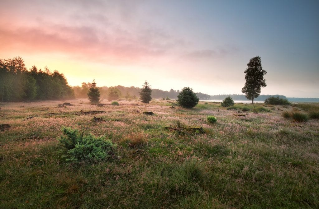 Nationaal Park Dwingelderveld - Fietswandelvakantie.nl