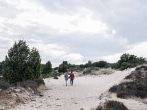 Wandelvakantie Nationaal Park Drents-Friese Wold