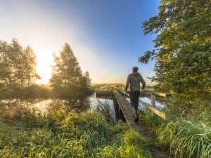 Wandelvakantie De Drentsche Aa - Fietswandelvakantie.nl