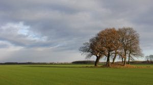 Geopark De Hondsrug - Grafheuvel bij Drouwen - Fietsvakanties Drenthe