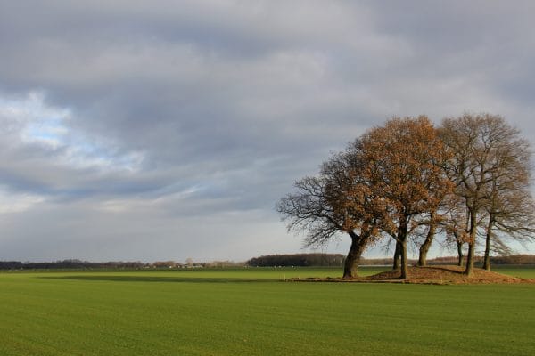 Geopark De Hondsrug - Grafheuvel bij Drouwen - Fietsvakanties Drenthe