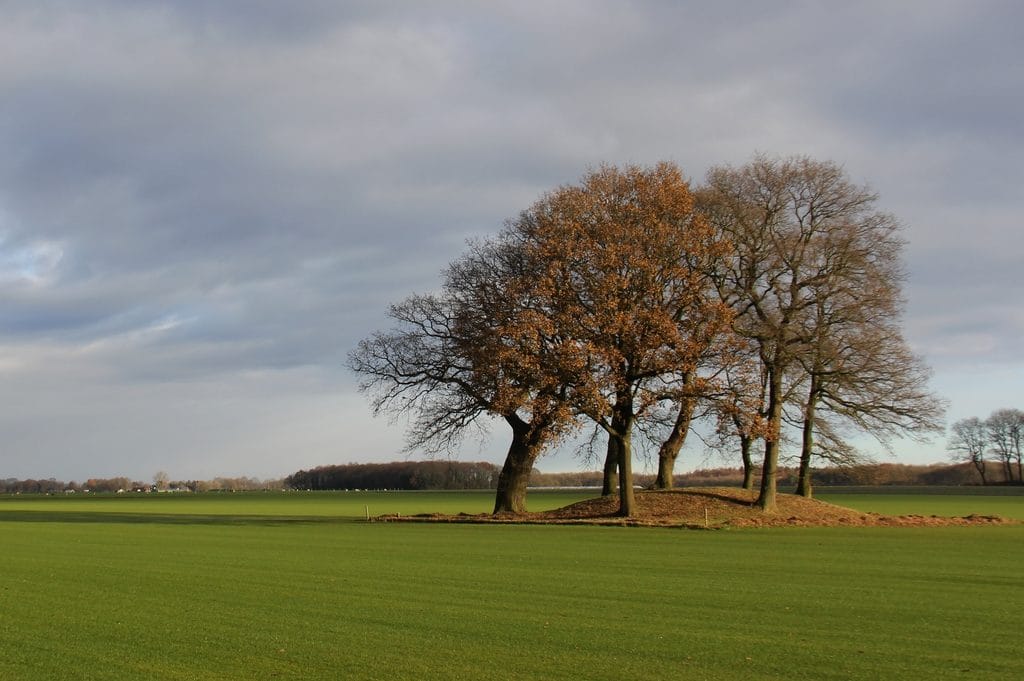 De Hondsrug UNESCO Global Geopark - Fietsvakanties Drenthe