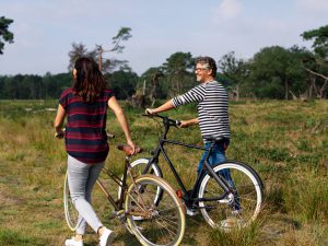 Lezersaanbieding Gazet - 4 daagse fietsvakantie 'Fietsen door de natuur en geschiedenis van Drenthe'
