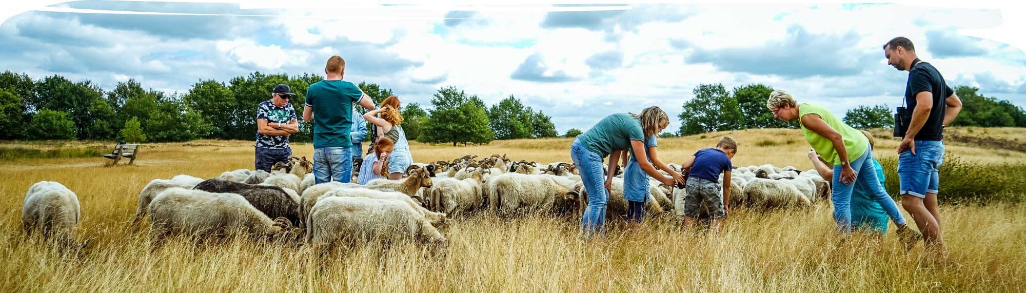 Wandelen met de schaapherder © Pamela Joyce Fotografie