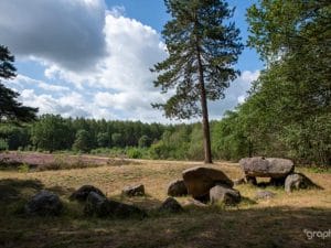 Wandelvakantie over de Hondsrug