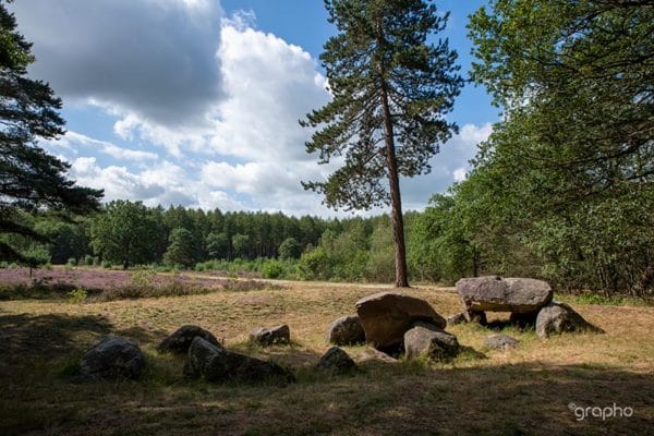 Wandelvakantie over de Hondsrug