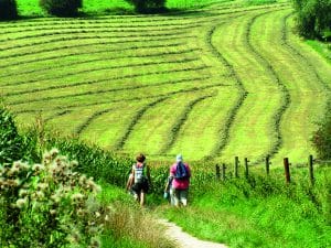 Wandelvakantie Zuid-Limburg © Visit Zuid-Limburg